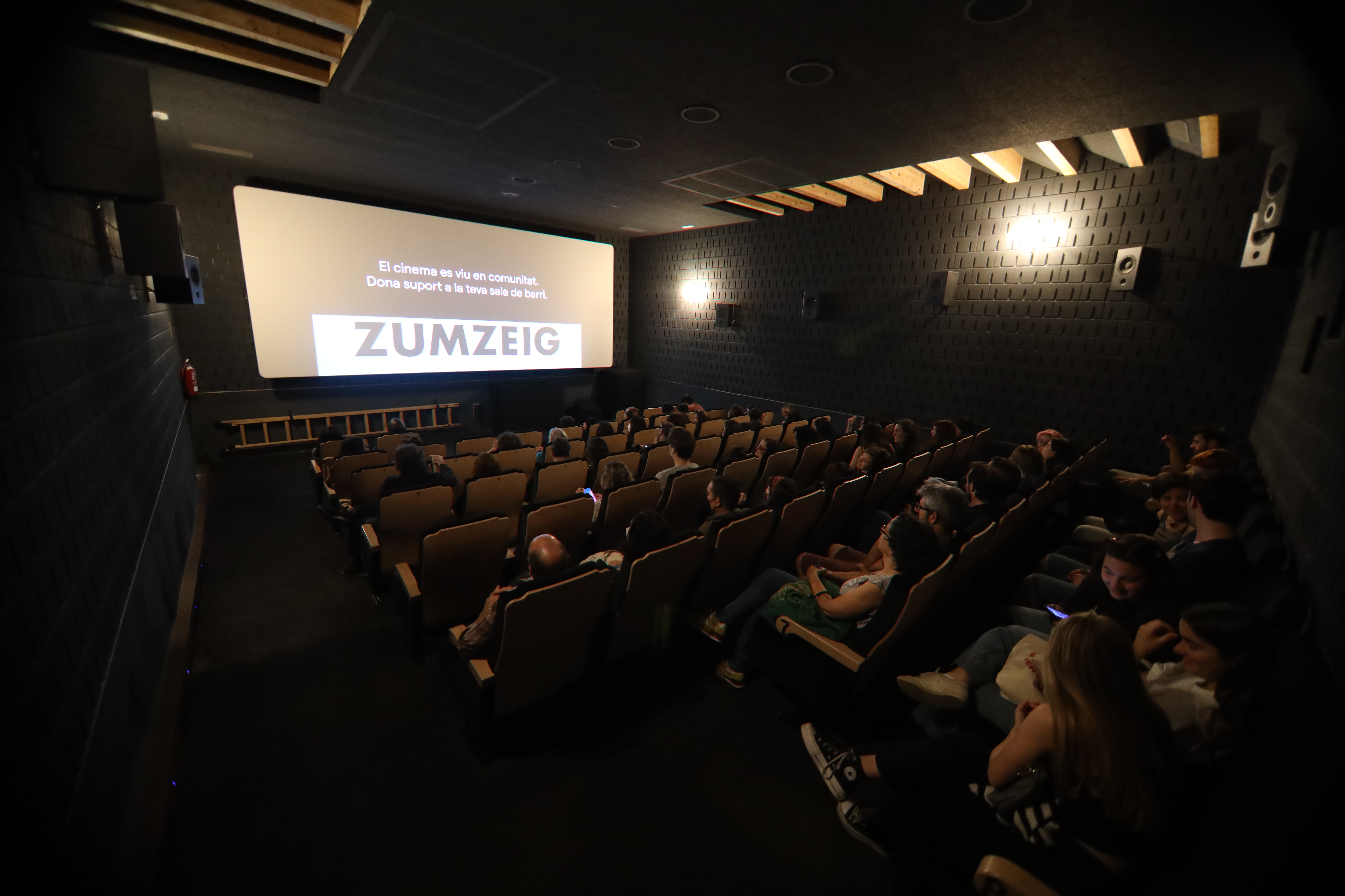 cinema-zumzeig-mirada-critica