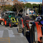 treball, avellana, tractor, tractorada, Tarragona