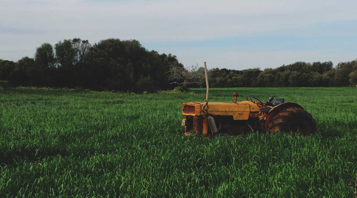 Un tractor groc en un camp cultivat. Xavier Moll (ACN)