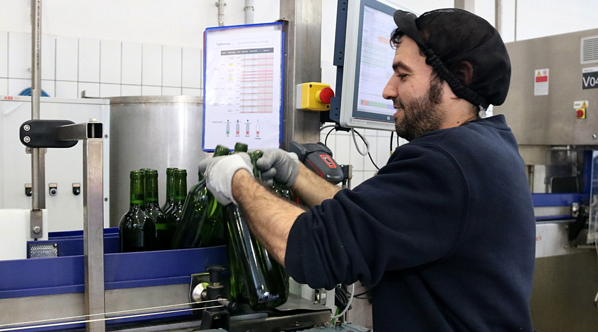 Un treballador manipula ampolles de vi en una cadena de producció. Gemma Sánchez (ACN)