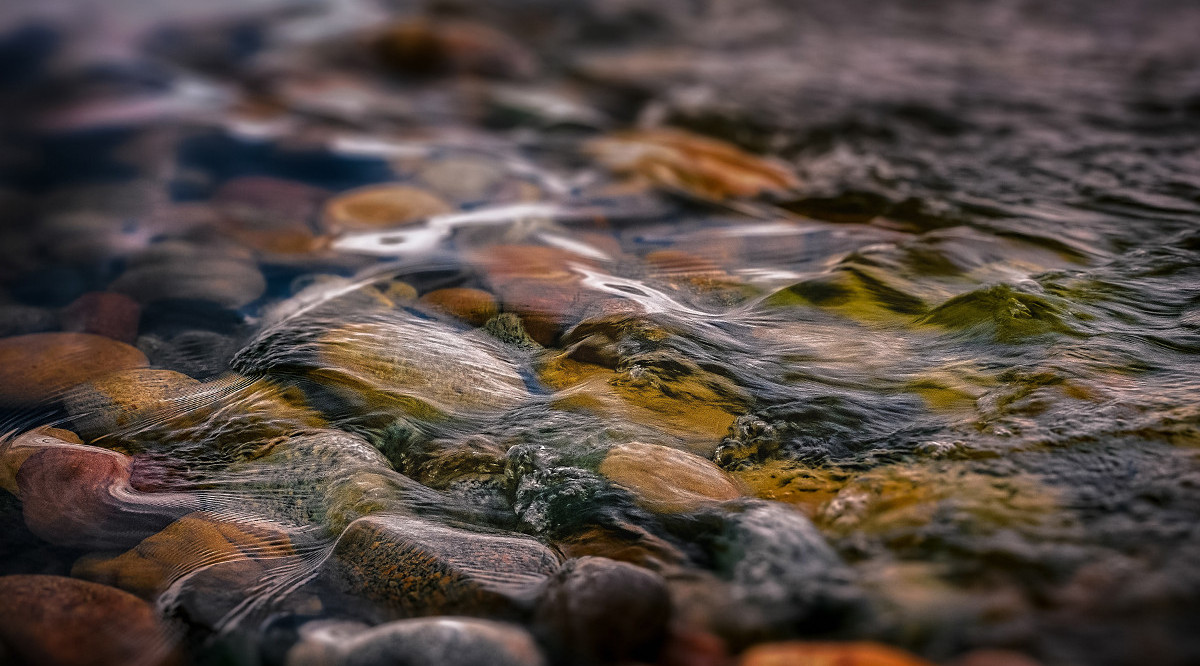 L'aigua d'un riu. Robert Zunikoff (Unsplash)