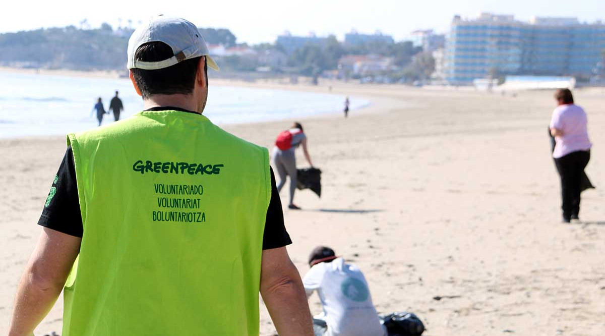 Un voluntari de Greenpeace en primer terme i de la resta que han participat en la jornada de neteja de la platja de La Pineda. Mar Rovira (ACN)