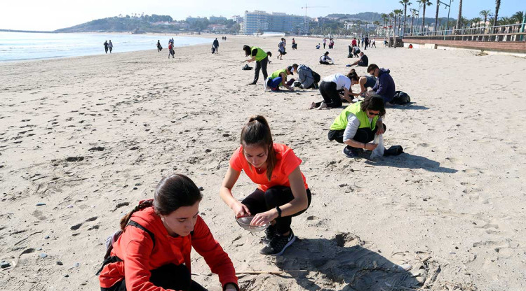 Els voluntaris que han participat en la jornada de neteja de la platja de La Pineda, emmarcada en la campanya de Greenpeace 'Maleït Plàstic'. Mar Rovira (ACN)