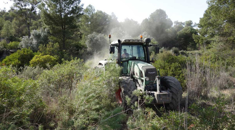 Un tractor en els treballs de neteja i desbrossament d'una finca amb massa forestal descontrolada a Flix. Grup de Natura Freixe